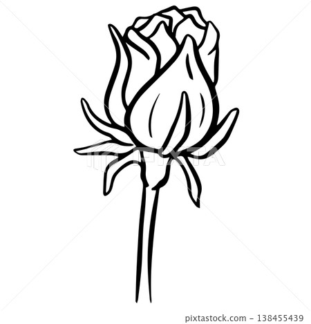 Rose Flower Head Floral Icon Clipart Vector Illustration Rose Flower Head Floral Icon Clipart Vector Illustration 138455439