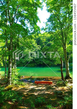 多科沼澤藏王鮮綠 多科沼澤藏王鮮綠 138455487