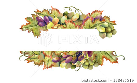 Watercolor grapevine rectangular line frame template with copy space. Green black grapes horizontal banner. Isolated Illustration of autumn berries, vine bunch. Graceful juicy botanical berry Watercolor grapevine rectangular line frame template with copy space. Green black grapes horizontal banner. Isolated Illustration of autumn berries, vine bunch. Graceful juicy botanical berry 138455519