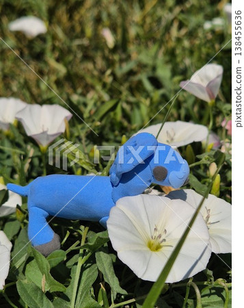 blue horse in garden. children's crafts from plasticine. children's creativity. toys 138455636