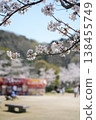 A park with cherry blossoms and food stalls 138455749
