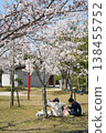 Hanami under the cherry blossoms in full bloom 138455752