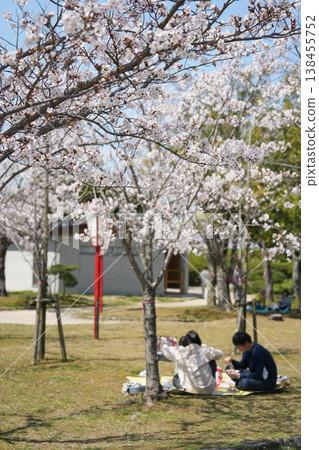 盛開的櫻花下的花見 盛開的櫻花下的花見 138455752