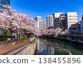 Cherry blossoms along the Meguro River and office buildings 138455896