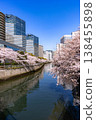 Cherry blossoms along the Meguro River and office buildings 138455898