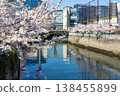 Cherry blossoms along the Meguro River and office buildings 138455899