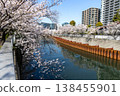 Cherry blossoms along the Meguro River and office buildings 138455901