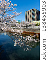 Cherry blossoms along the Meguro River and office buildings 138455903