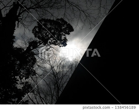 Winter's cloudy sky, bare trees, and sunshine 138456189