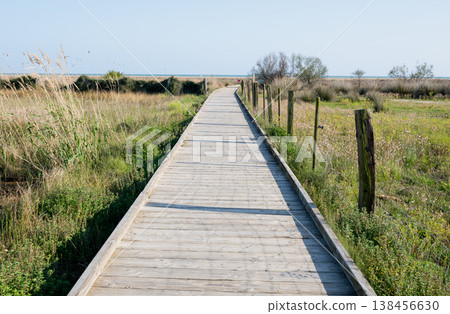 Wooden boardwalk leading through coastal grassland to the sea under clear blue sky scenic nature landscape 138456630