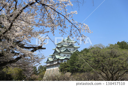 愛知縣名古屋市中區名古屋城 愛知縣名古屋市中區名古屋城 138457510