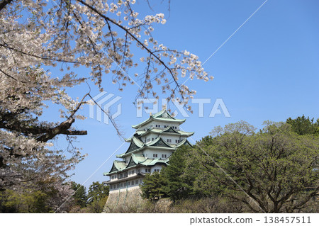 愛知縣名古屋市中區名古屋城 138457511