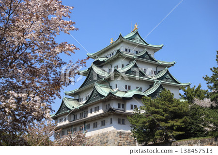 Nagoya Castle, Naka Ward, Nagoya City, Aichi Prefecture 138457513