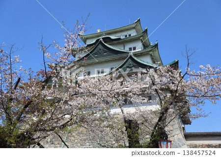 Nagoya Castle, Naka Ward, Nagoya City, Aichi Prefecture 138457524