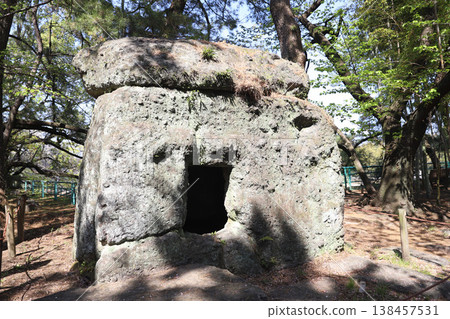 Nagoya Castle, Naka Ward, Nagoya City, Aichi Prefecture 138457531