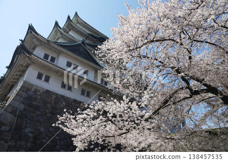 愛知縣名古屋市中區名古屋城 愛知縣名古屋市中區名古屋城 138457535