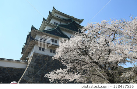 愛知縣名古屋市中區名古屋城 愛知縣名古屋市中區名古屋城 138457536