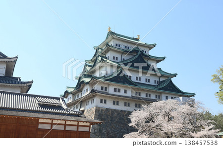 Nagoya Castle, Naka Ward, Nagoya City, Aichi Prefecture 138457538