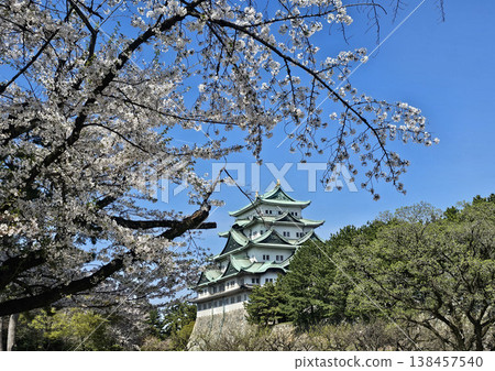 愛知縣名古屋市中區名古屋城 愛知縣名古屋市中區名古屋城 138457540