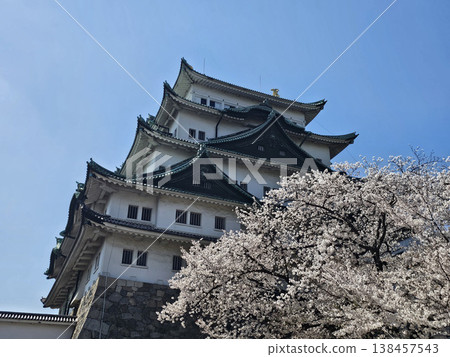 愛知縣名古屋市中區名古屋城 愛知縣名古屋市中區名古屋城 138457543