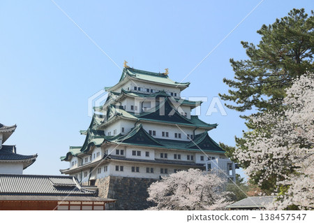 愛知縣名古屋市中區名古屋城 愛知縣名古屋市中區名古屋城 138457547