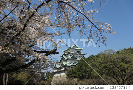 Nagoya Castle, Naka Ward, Nagoya City, Aichi Prefecture Nagoya Castle, Naka Ward, Nagoya City, Aichi Prefecture 138457554
