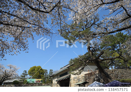 愛知縣名古屋市中區名古屋城 愛知縣名古屋市中區名古屋城 138457571
