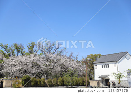 愛知縣名古屋市中區名古屋城 愛知縣名古屋市中區名古屋城 138457576