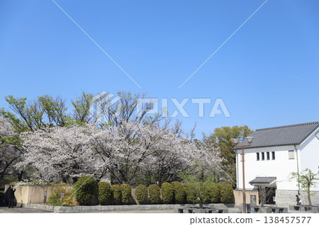 愛知縣名古屋市中區名古屋城 愛知縣名古屋市中區名古屋城 138457577