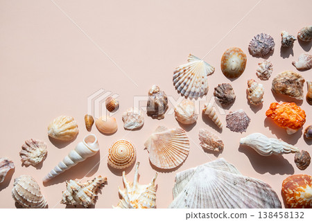 Collection of various sea shells arranged on pastel background. 138458132