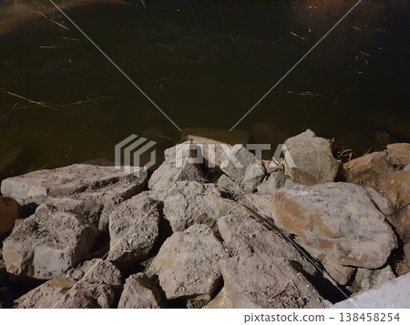Rocky shore of a lake at night. Large gray stones in the foreground 138458254