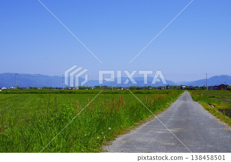 滋賀縣高島市的鄉村景色和筆直的道路 滋賀縣高島市的鄉村景色和筆直的道路 138458501