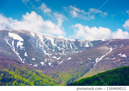 nature image of borzhava ridge with snow capped tops in spring landscape. mountain background wallpaper. greenery scenery with forested slopes under blue sky with clouds on sunny weather nature image of borzhava ridge with snow capped tops in spring landscape. mountain background wallpaper. greenery scenery with forested slopes under blue sky with clouds on sunny weather 138460012