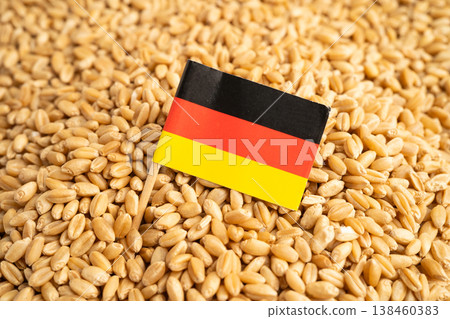 Germany flag on grain wheat, trade export and economy. 138460383