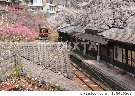 渡良瀨京國鐵道：“櫻花盛開時水沼站的鳥瞰圖” 138460568