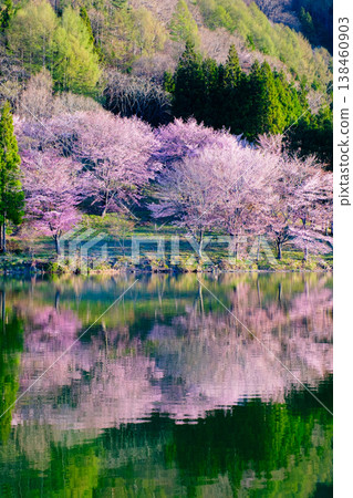 Yoh Yamazakura of Lake Nakanishi Yoh Yamazakura of Lake Nakanishi 138460903