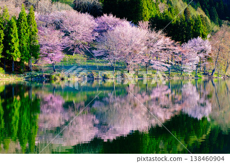 Yoh Yamazakura of Lake Nakanishi Yoh Yamazakura of Lake Nakanishi 138460904