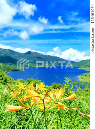 Nomusho的Nikko Kishige Nomusho的Nikko Kishige 138461084