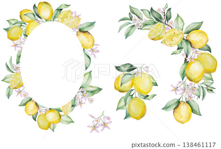 Watercolor lemon frame and branches set with citrus fruits. Summer wedding stationery clipart Watercolor lemon frame and branches set with citrus fruits. Summer wedding stationery clipart 138461117