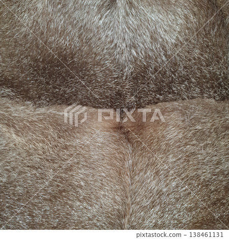Detailed close-up of soft brown animal fur texture with natural pattern and fine hair strands. Detailed close-up of soft brown animal fur texture with natural pattern and fine hair strands. 138461131