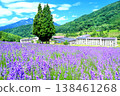 Tangram Madarao Lavender 138461268