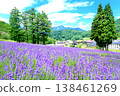 Tangram Madarao Lavender 138461269