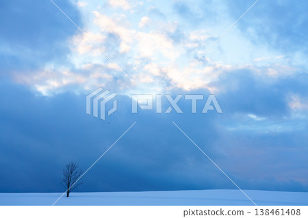A single tree standing in a snowfield: A winter scene in Biei and Furano, Hokkaido. A single tree standing in a snowfield: A winter scene in Biei and Furano, Hokkaido. 138461408