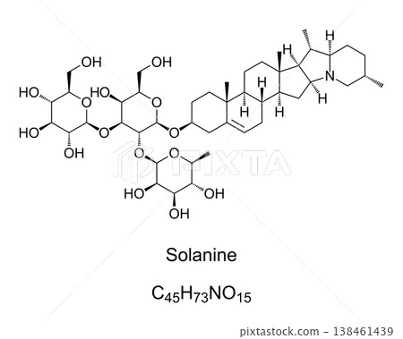 Solanine chemical formula. Glycoalkaloid poison found in potatoes, and in nightshade family within genus Solanum. Occur in leaves, fruit, and tubers, and is not rendered ineffective by cooking. Vector Solanine chemical formula. Glycoalkaloid poison found in potatoes, and in nightshade family within genus Solanum. Occur in leaves, fruit, and tubers, and is not rendered ineffective by cooking. Vector 138461439