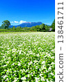 Buckwheat field at Odaka Kogen 138461711