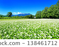 Buckwheat field at Odaka Kogen 138461712