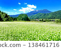 Buckwheat field at Odaka Kogen 138461716