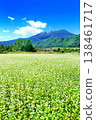 Buckwheat field at Odaka Kogen 138461717