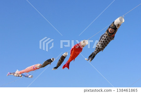 Carp streamers swimming in the blue sky; carp streamers, Tango no Sekku (Boys' Festival); black carp, red carp, baby carp Carp streamers swimming in the blue sky; carp streamers, Tango no Sekku (Boys' Festival); black carp, red carp, baby carp 138461865