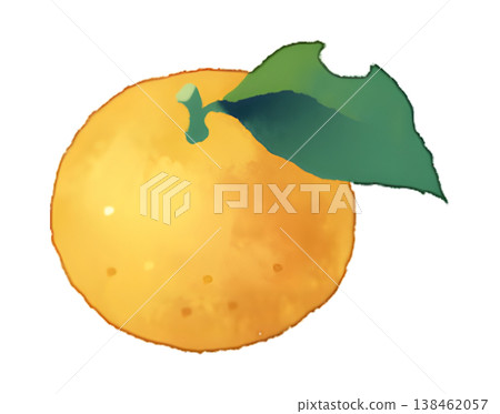 一幅帶有蟲蛀葉片的橘子插圖（1 張圖片），水彩風格，透明 PNG 格式。 138462057